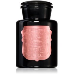 Paddywax Apothecary Noir Saffron Rose mirisna svijeća 226 g Cene