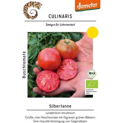 Culinaris Bio grmičast paradižnik Silbertanne Cene
