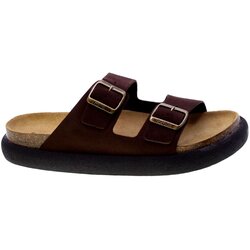 Scholl 92924 Smeđa Cijene