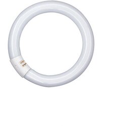 Osram Fluo cijev T9 LUMILUX T9 C Cene