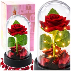 Eternal Rose in Dome with LED Lighting Red with Rose Petals 14x8cm Cene