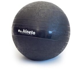 Kineta Slam Ball 12 kg Cene