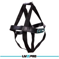 Livepro kaiševi za wall ball - LP8101 Cene