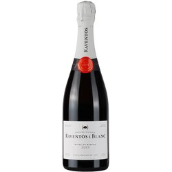 Raventos i Blanc Raventos Blanc de Blancs Cene