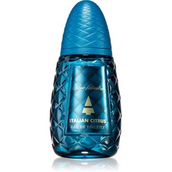 Pino Silvestre Italian Citrus toaletna voda 125 ml za moške Cene