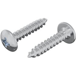 vidaXL Žebelj s samočrtnim navojem 2 pcs Cinkano 4 x 20 mm Jeklo, (5000163858) Cene