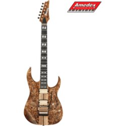  GITARA EL. IBANEZ RGT1220PB-ABS Cijene