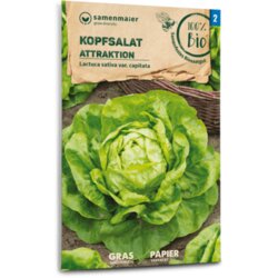 Samen Maier Bio glavnata solata "Attraktion" Cene