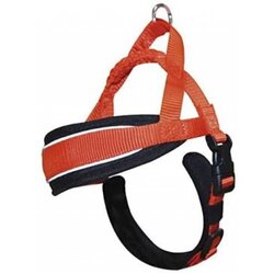 Croci am swedish xs narandzasti 38-48cm Cene