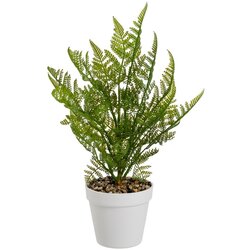Casa Selección Umetna praprot (višina 45 cm) – Cene