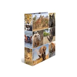 Herma Registrator A4/70, Afrika, samostojeći Cijene