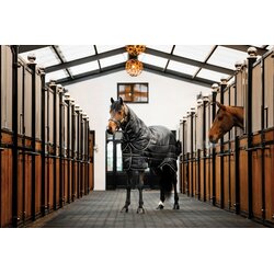 Horseware Ireland Pregrinjalo Horseware Easy-Layer Stable Plus Med 200g, Black/Black & Silver - 145 cm Cene