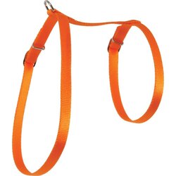 Zolux 546 132ORA Am Nylon Za Mace Narandžasti Cene