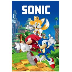 Jerry Fabrics Otroška odeja iz flisa 100x150 cm Sonic – Cene