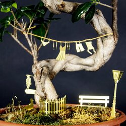 Botanopia kolesarska pustolovščina za rastline Cene