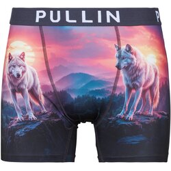 Pullin Spodnje hlače FASHION 2 Večbarvna Cene