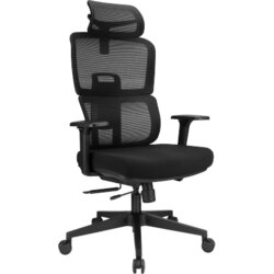 Brateck Kancelarijska stolica LV-CH10-10 Cene