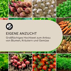 Blumfeldt High Grow Straight povišena žardinjera, Antracit Cijene