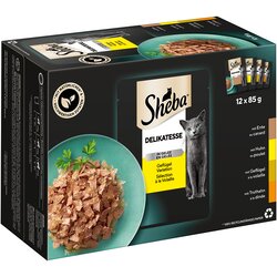 MEGA pakiranje Sheba različice v vrečkah za ohranjanje svežine 24 x 85 g - Delikatesse v želeju Različice perutnine Cene