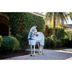 Horseware Ireland Pregrinjalo Amigo Ripstop Hoody, Azure Blue/Navy & Electric Blue - 160 cm Cene