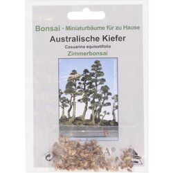 TROPICA avstralski bor Cene