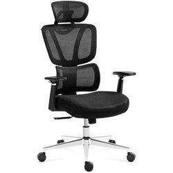 Expert 4.6 Crna ergonomska stolica Cene