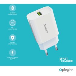 Kućni punjač pluginn PI-D48, 5V, 2.4A, 12W sa micro usb kablom beli Cene