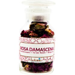 botania premium Rosa Damascena Cene