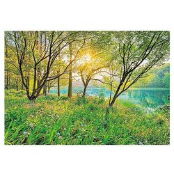 Komar Potiskana tapeta Spring Lake (8 -del., Š x V: 368 x 254 cm, Papir) Cene