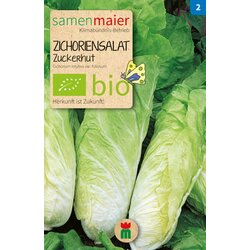 Samen Maier Ekološka solata cikorija "Zuckerhut" Cene