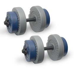 Iron set 2 tega od 11 kg teget-sivi Cene