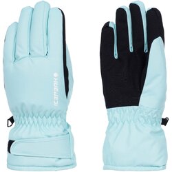 Icepeak ski rokavice 5 prstov HAYDEN JR zelena F S Cene