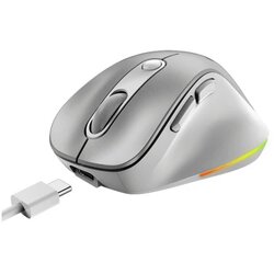 Genius Ergo 9000S Pro Silver USB bežični sivi miš Cene
