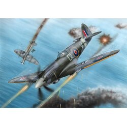 Special-Hobby Spitfire F Mk.XXI "No 91 Sq. RAF, (21313159) Cene