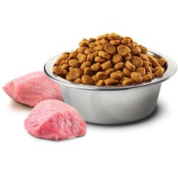 Farmina briketi za odrsale pse N&D s piščancem in bučo, 12kg Cene