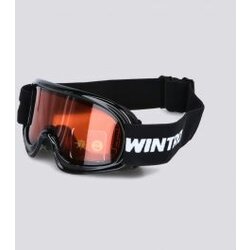 Wintro naočare ski goggle boy gb WIE213B600-01 Cene