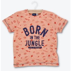 Chicco majica sa kratkim rukavima za bebe 09068275000000-045 Cene