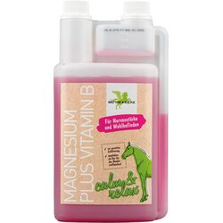 Bense & Eicke Magnezij plus vitamin B Cene