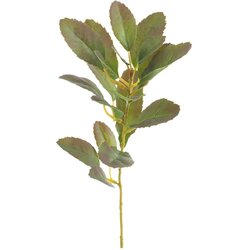 Ixia Umjetna grančica (visina 37 cm) Lemon Tree – Cene