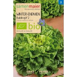 Samen Maier Ekološka zimska endivija "Bubikopf" Cene