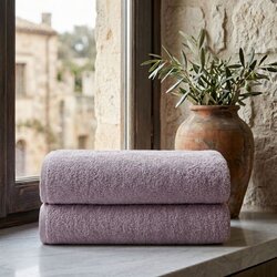 Slick Grey Grey Bath Towel Set (2 Pieces) Cene