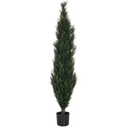 MID.YOU Umetna Rastlina Cedrus Cene
