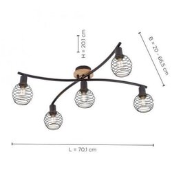 PAUL NEUHAUS Leuchten Direkt 15925-79 - Plafonski luster EUGEN 5xE14/40W/230V Cene