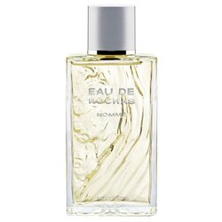Rochas Eau de Homme Eau de Toilette 100 ml Cijene