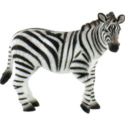  Safari - Zebra Cene