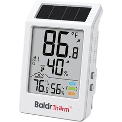 RAINPOINT termo-higrometer BALDRTHERM B0707 Cene