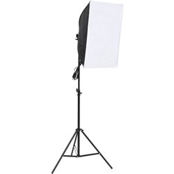vidaXL Profesionalno studijsko svjetlo 60 x 40 cm Cijene