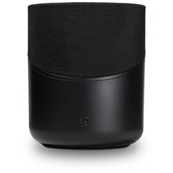 BLUESOUND PULSE M bk Cene