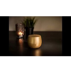 Stadler Form osveživač - aroma difuzer mia gold Cene