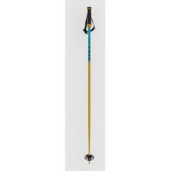 Völkl Phantastick 18mm 2027 Ski Poles yellow Cene